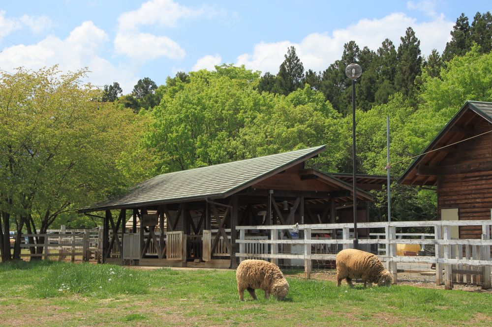 羊山公園の画像 - 5枚目