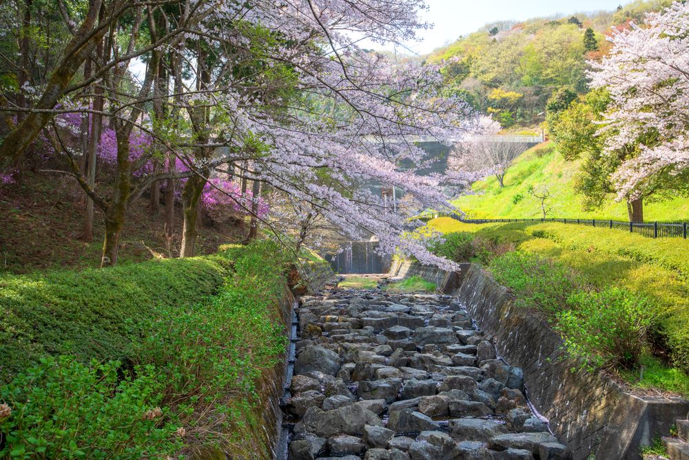 雀川砂防ダム公園の画像 - 3枚目