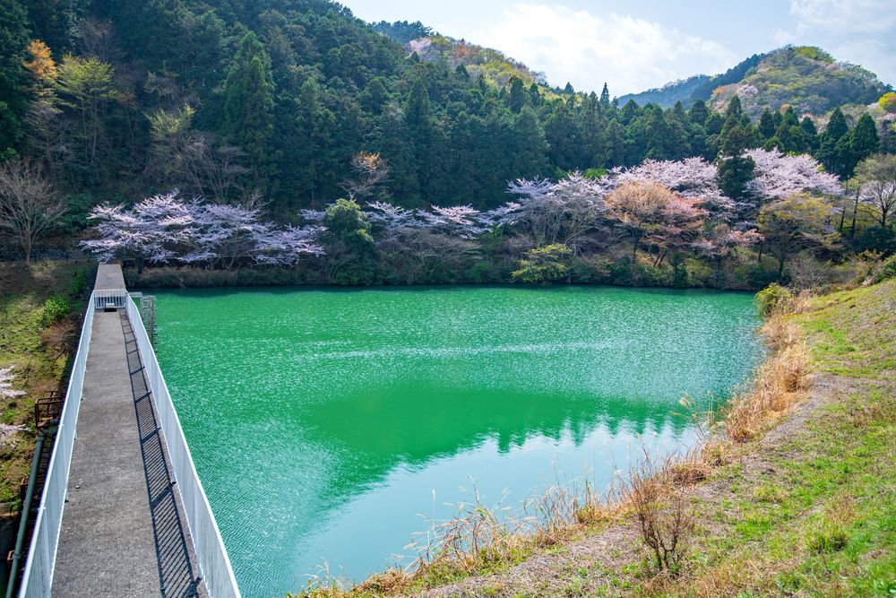 雀川砂防ダム公園の画像 - 4枚目