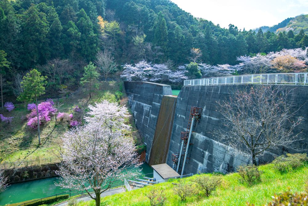 雀川砂防ダム公園の画像 - 5枚目