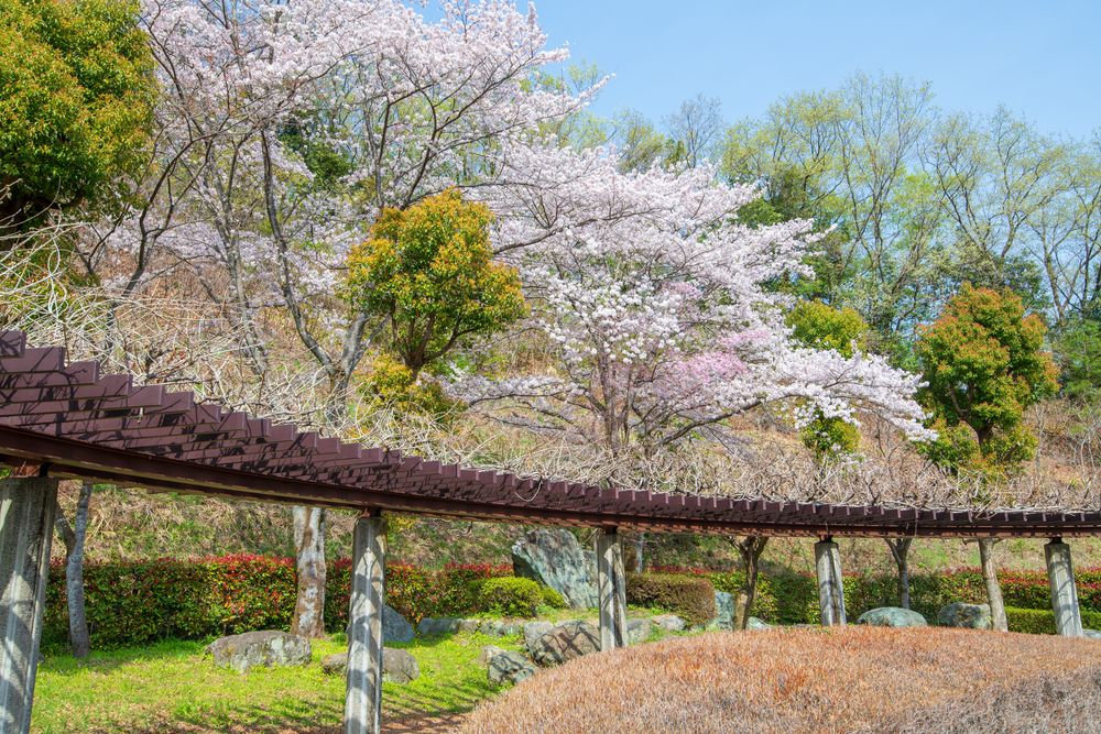 雀川砂防ダム公園の画像 - 6枚目