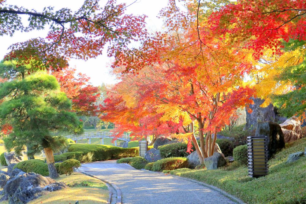 越谷市花田苑・花田第六公園の画像 - 3枚目