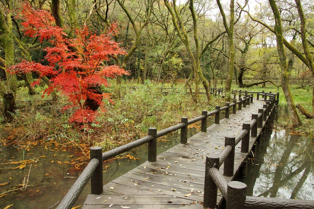 八丁湖の画像 - 4枚目
