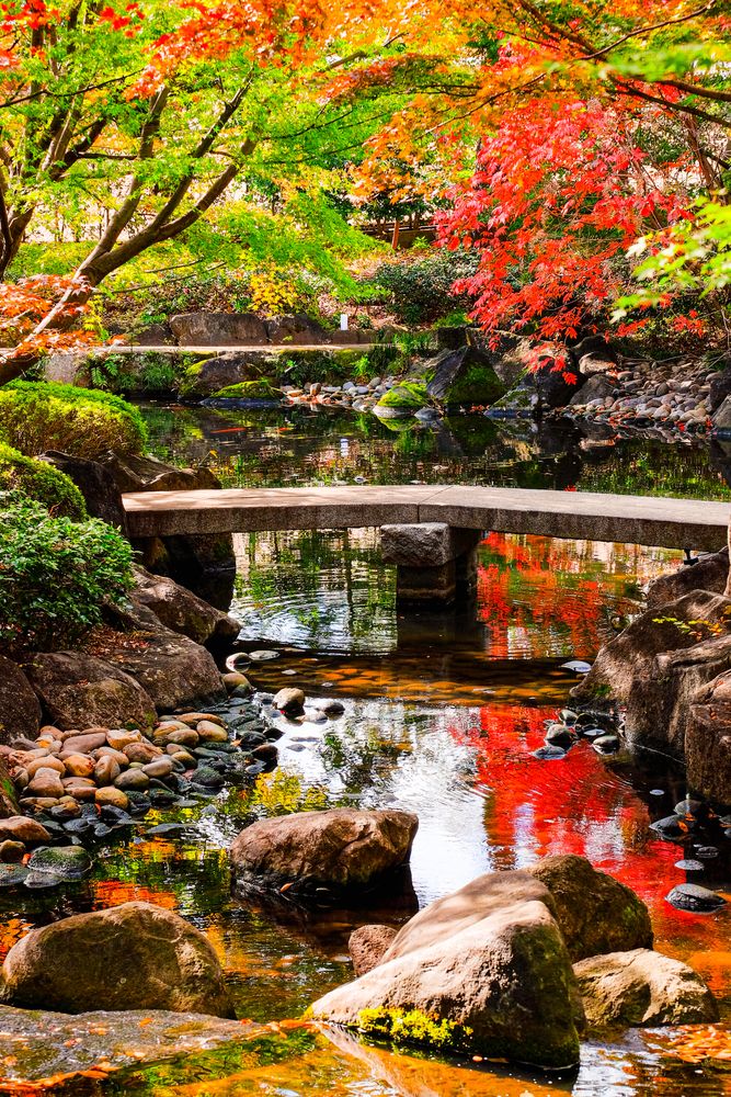 大田黒公園の画像 - 3枚目