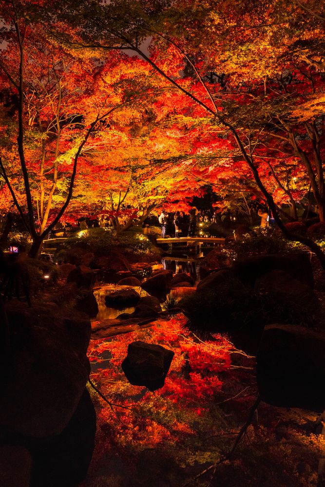 大田黒公園の画像 - 4枚目
