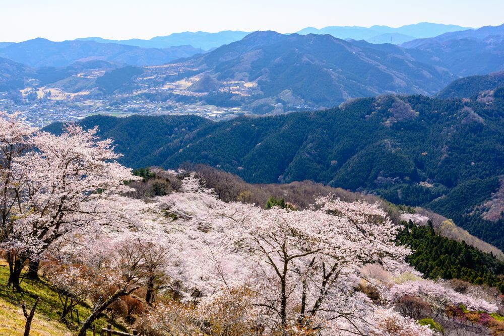 桜山公園の画像 - 3枚目