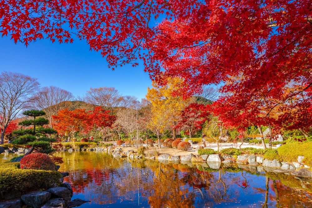 桜山公園の画像 - 5枚目