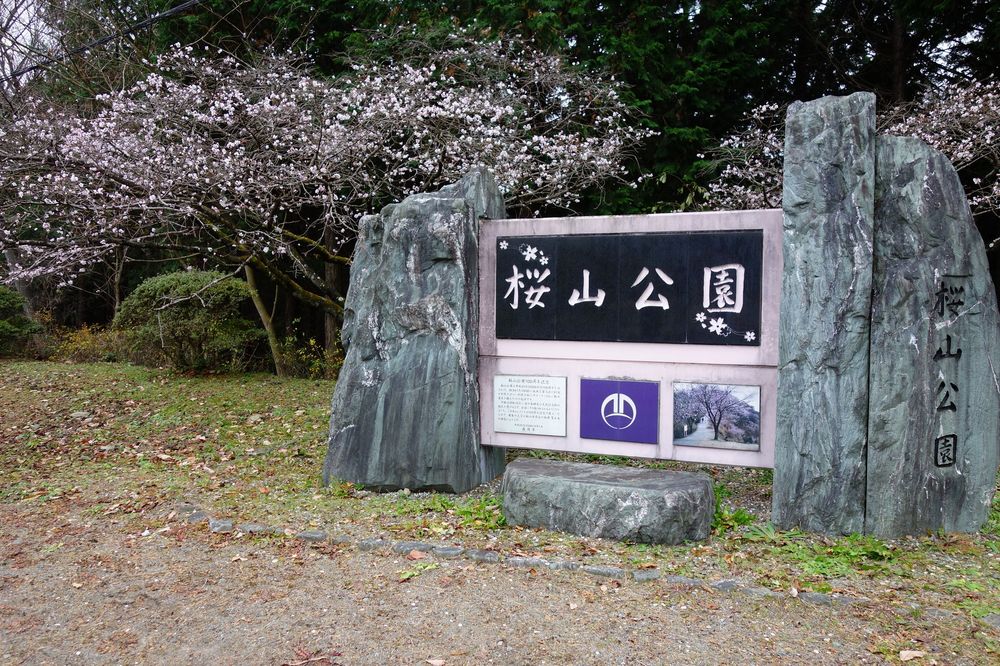 桜山公園の画像 - 6枚目