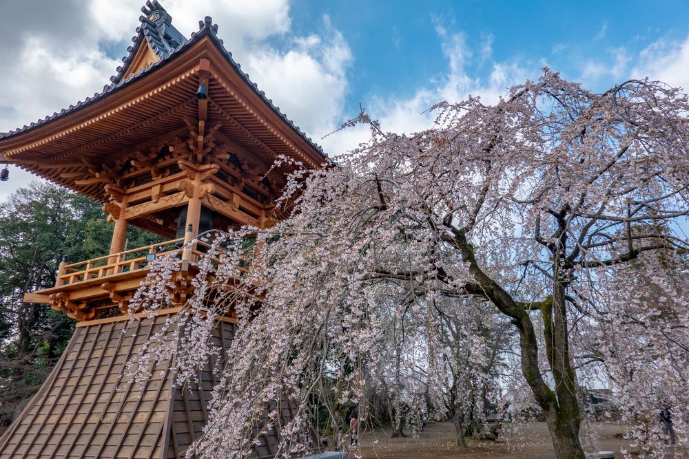 慈眼寺の画像 - 3枚目