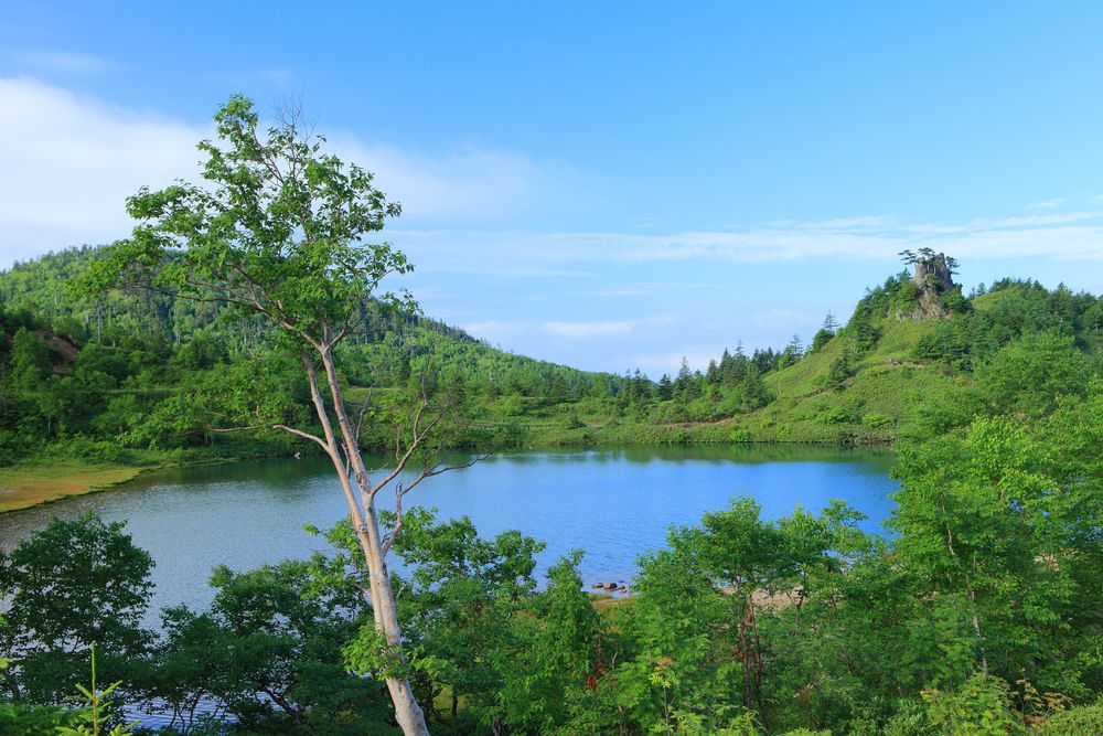 弓池の画像 - 2枚目