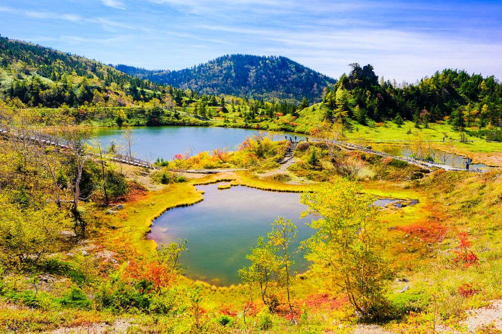 弓池の画像 - 4枚目