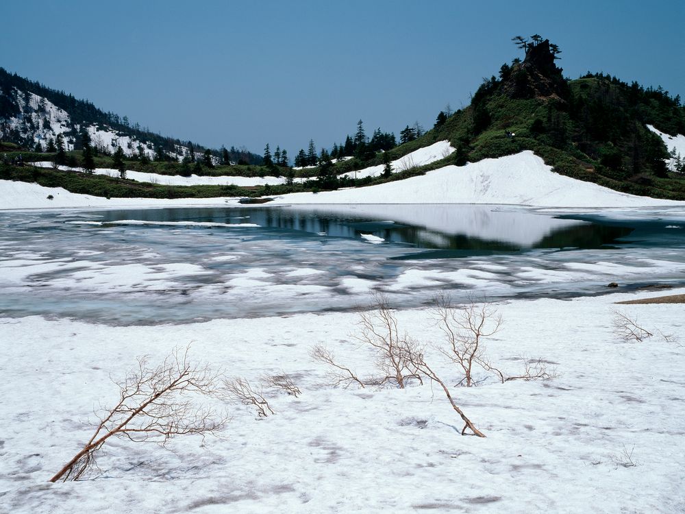 弓池の画像 - 5枚目