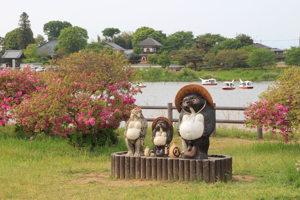 つつじが岡公園のツツジの画像 - 2枚目