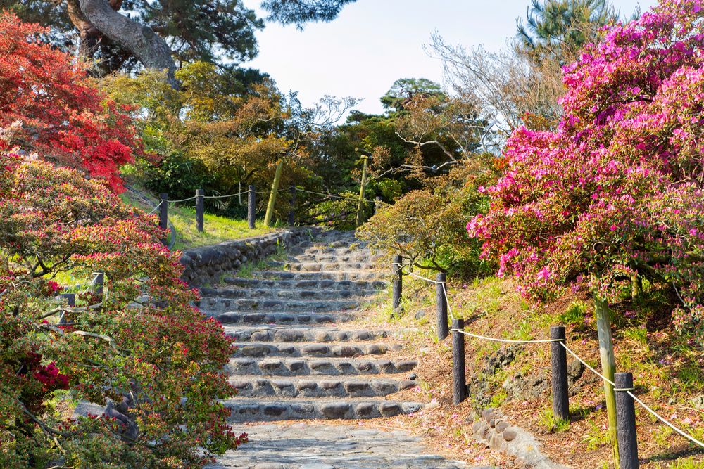 つつじが岡公園のツツジ】の周辺スポット・アクセス・口コミ - Prism Japan