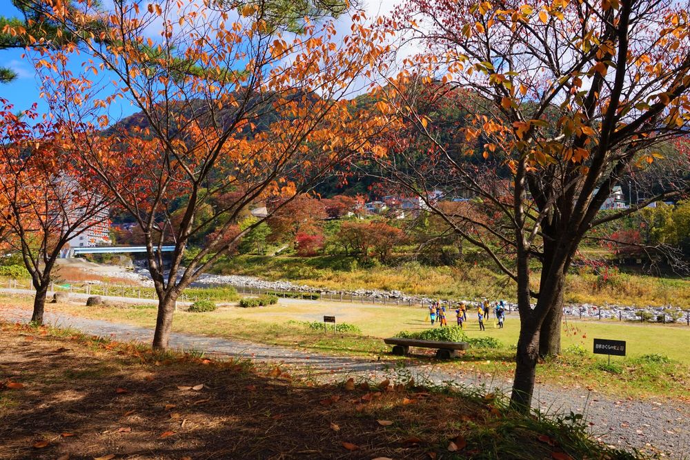 諏訪峡遊歩道の画像 - 5枚目