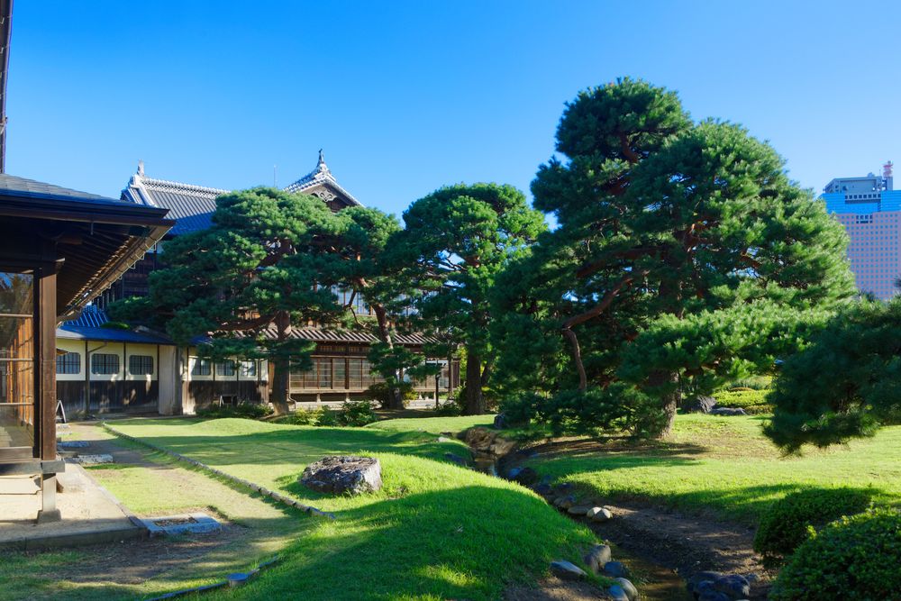 前橋公園日本庭園の画像 - 4枚目