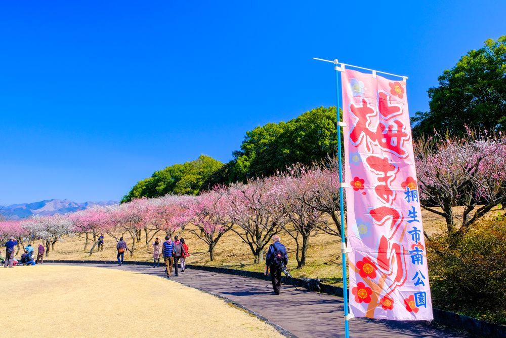 南公園の画像 - 2枚目