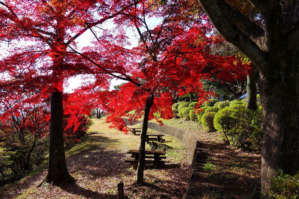 水道山公園の画像 - 5枚目