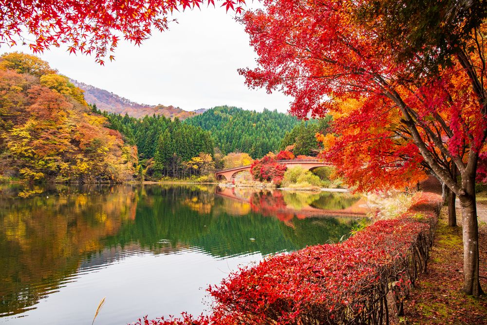 碓氷湖の画像 - 3枚目