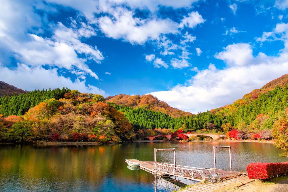 碓氷湖の画像 - 4枚目