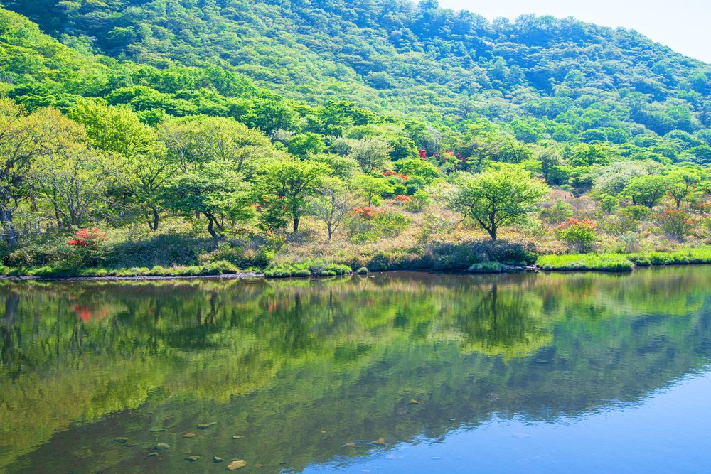 覚満淵の画像 - 5枚目
