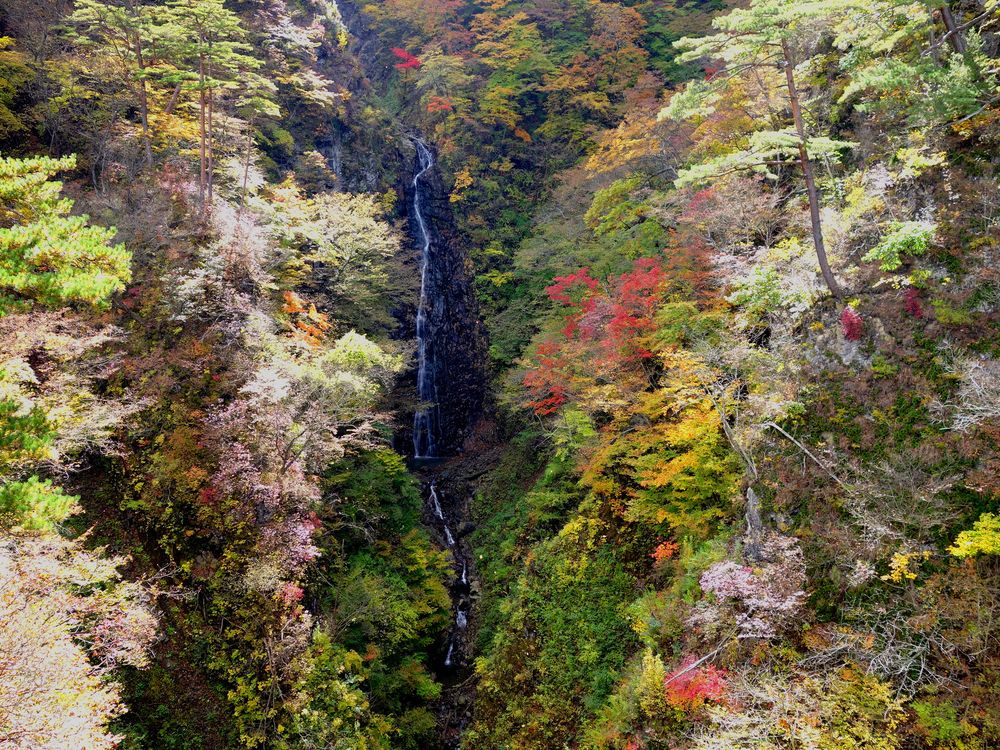 不動の滝の画像 - 2枚目