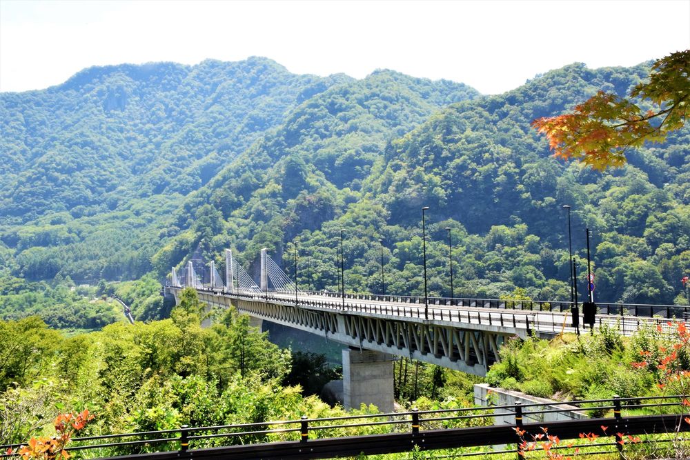 不動の滝の画像 - 3枚目