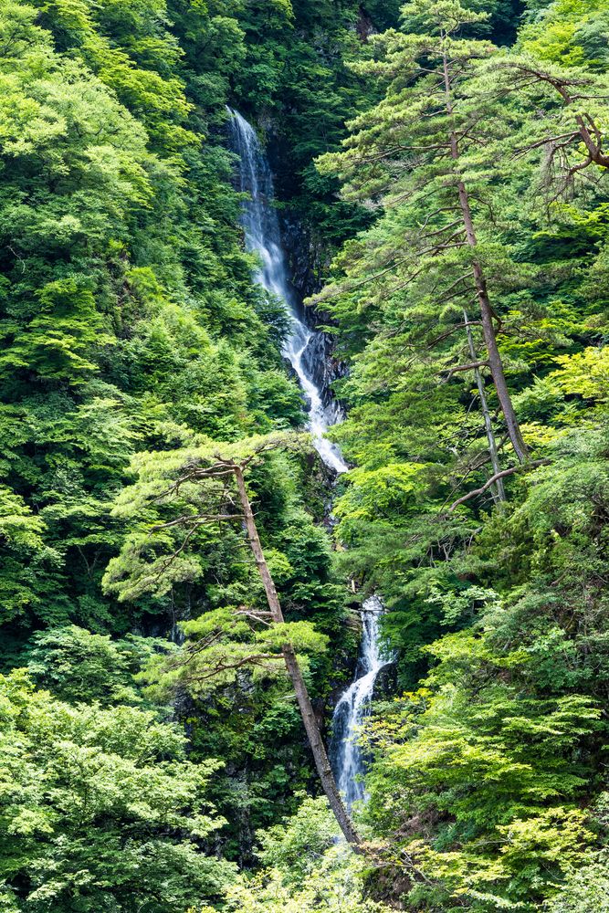 不動の滝の画像 - 4枚目