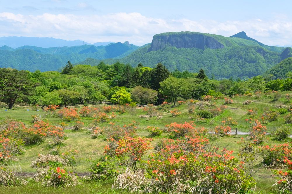荒船山の画像 - 3枚目