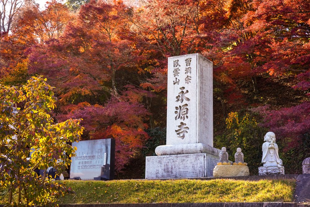 永源寺 もみじ寺の画像 - 2枚目
