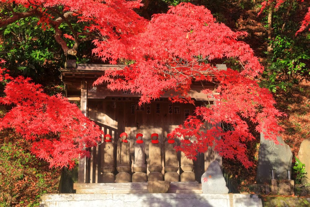 永源寺 もみじ寺の画像 - 3枚目