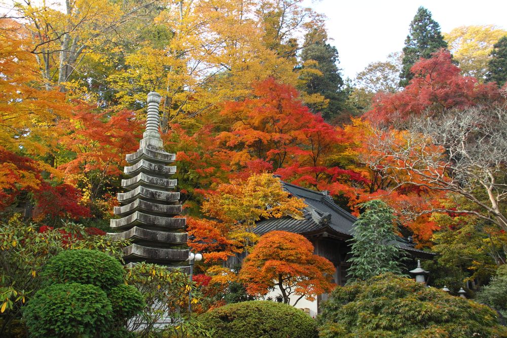 永源寺 もみじ寺の画像 - 4枚目