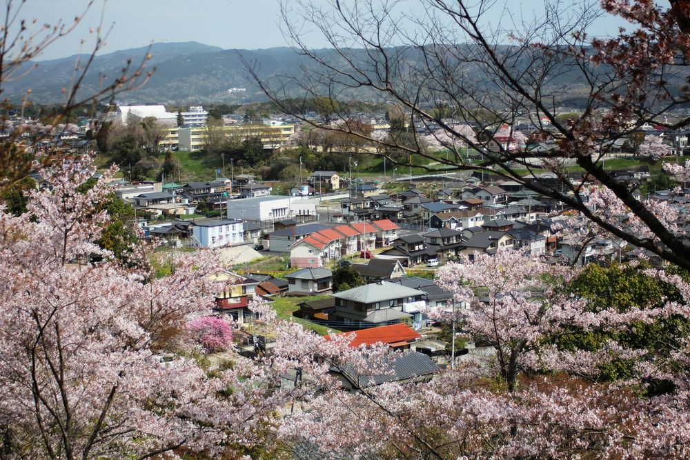 西山公園の画像 - 3枚目