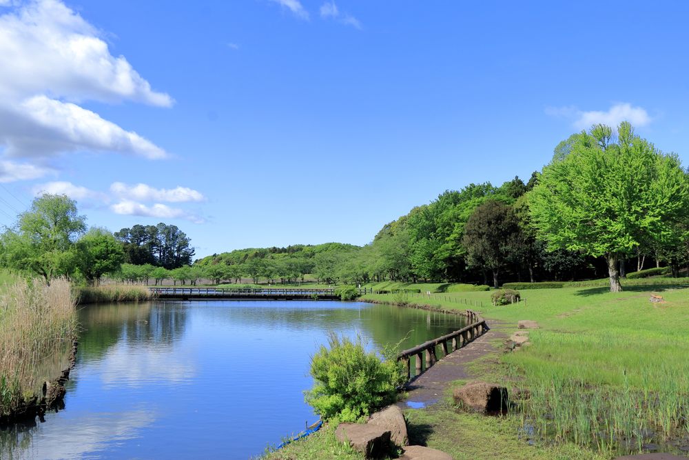 科学万博記念公園の画像 - 3枚目