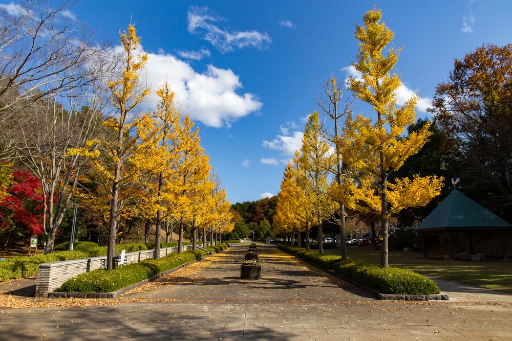 笠間芸術の森公園の画像 - 5枚目