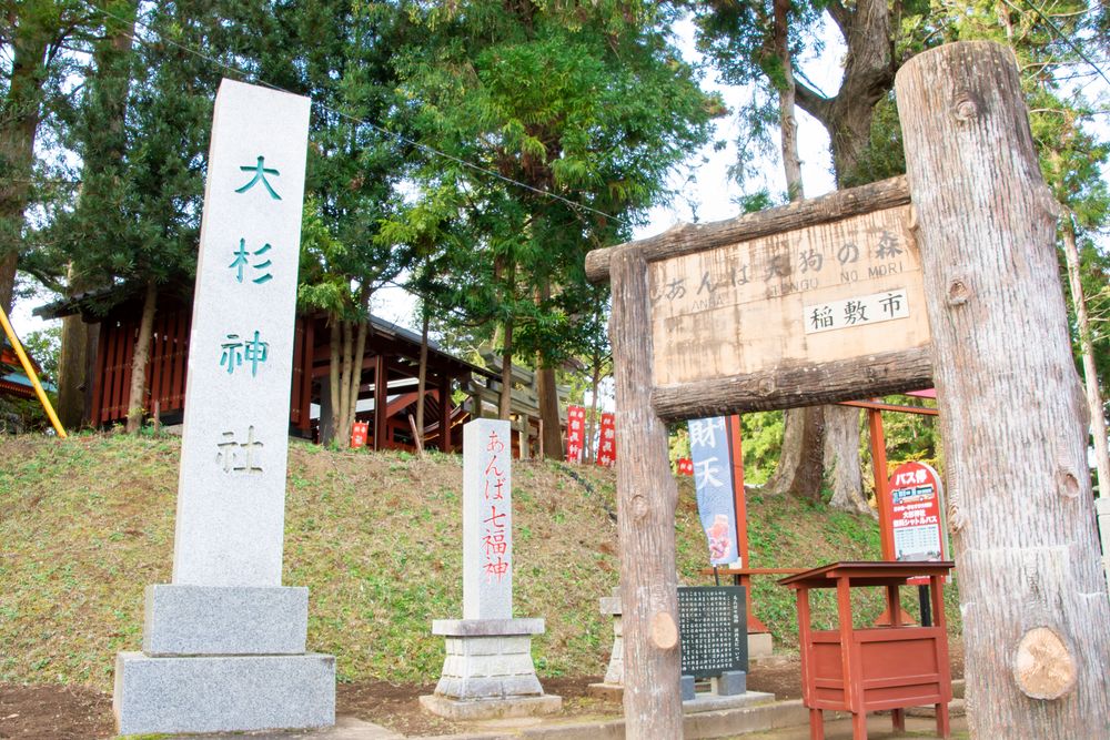大杉神社（あんばさま総本宮）の画像 - 3枚目