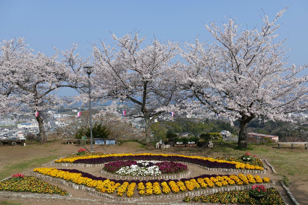 日立かみね公園の画像 - 2枚目