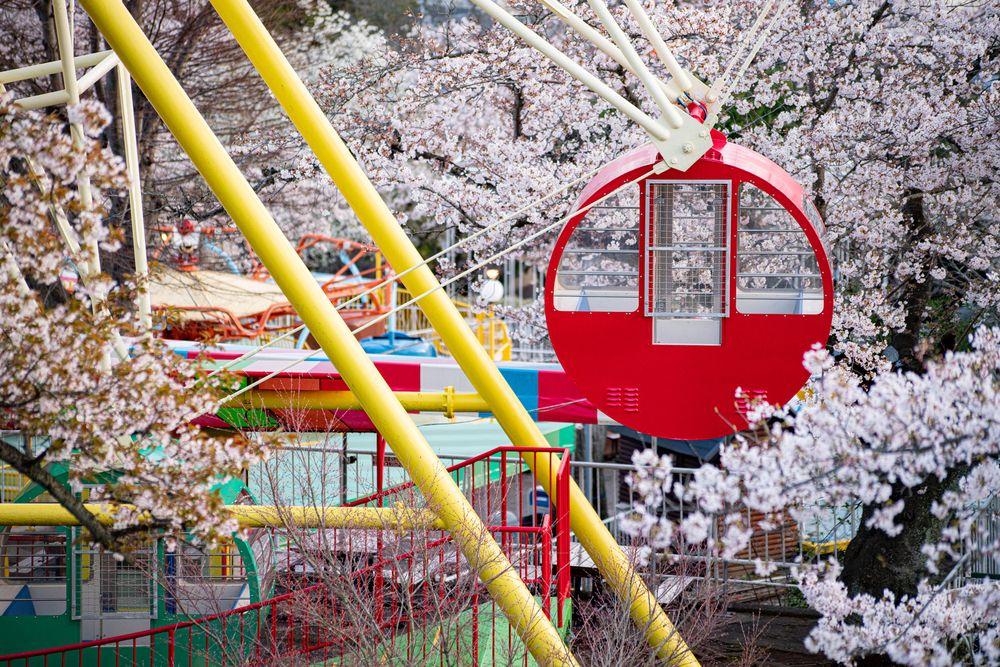 日立かみね公園の画像 - 4枚目