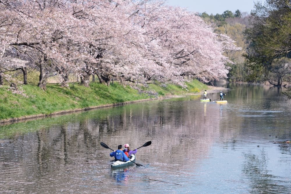 福岡堰の画像 - 3枚目