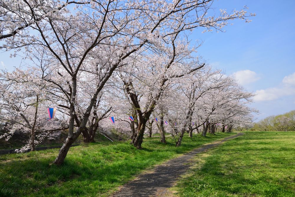 福岡堰