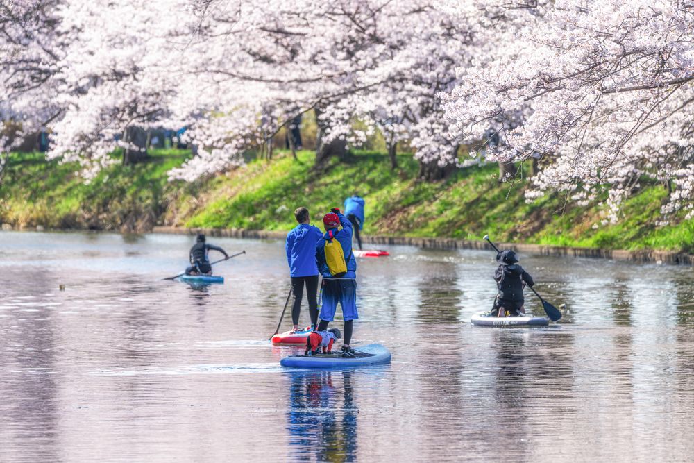 福岡堰の画像 - 4枚目