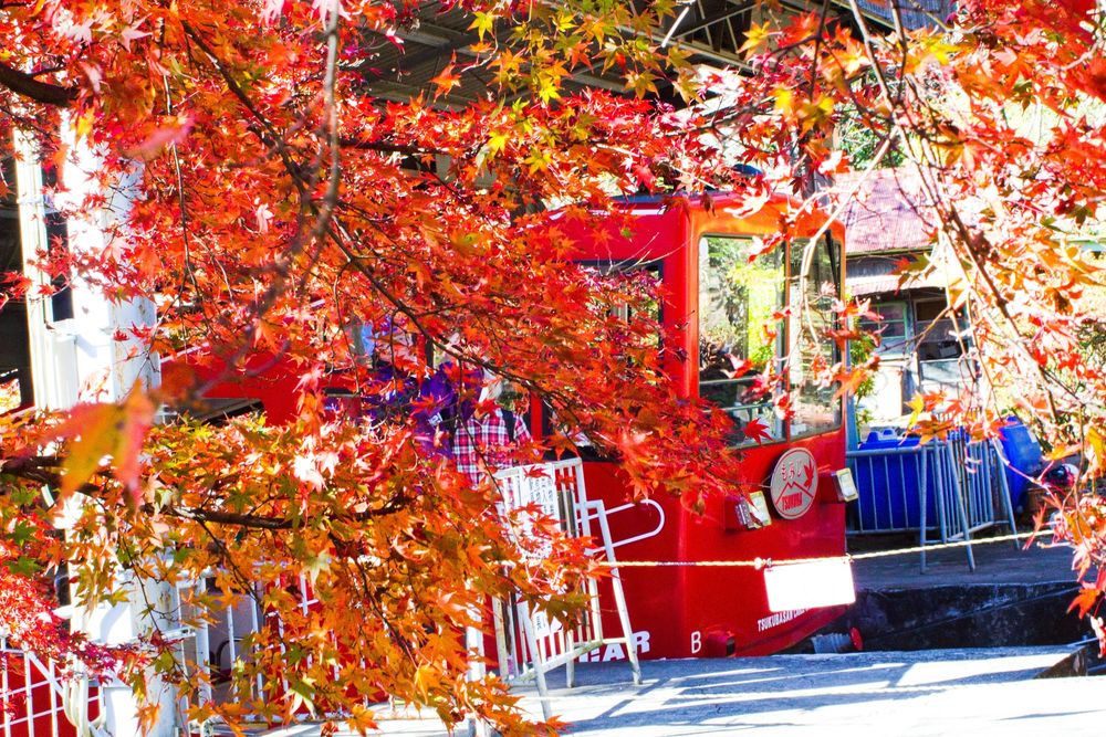筑波山ケーブルカー山頂駅の画像 - 6枚目