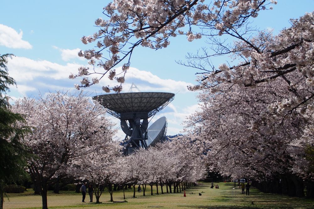 高萩市衛星通信記念公園(さくら宇宙公園)の画像 - 2枚目
