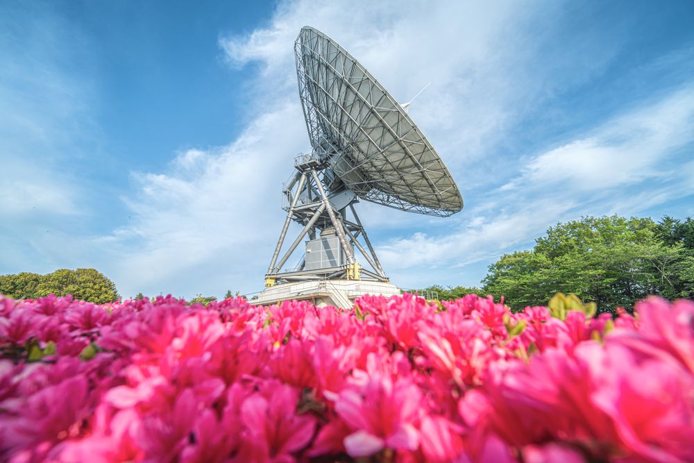 高萩市衛星通信記念公園(さくら宇宙公園)の画像 - 3枚目