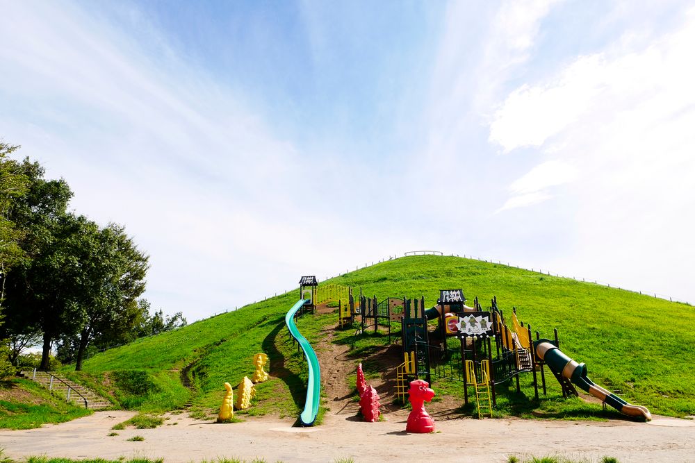 龍ヶ岡公園