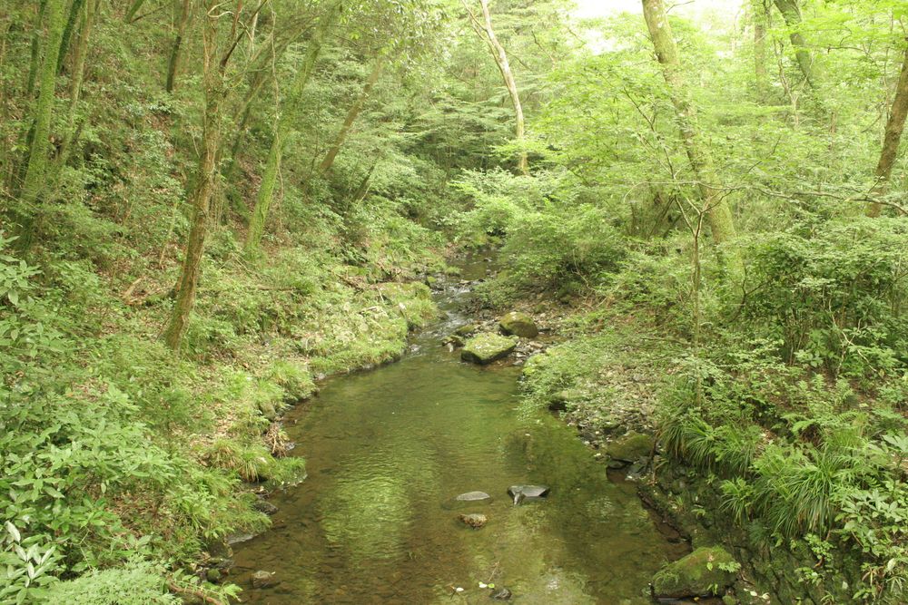 御前山の画像 - 2枚目
