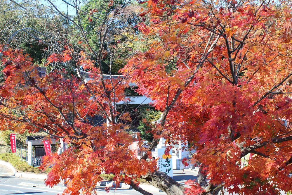 茨城縣護國神社の画像 - 5枚目
