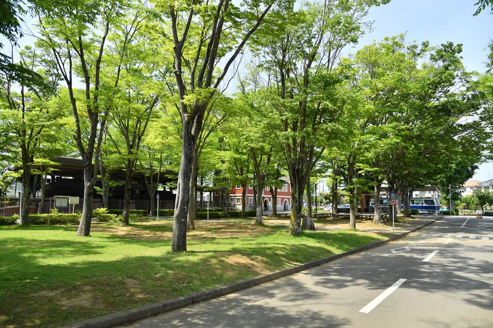 さくら交通公園の画像 - 2枚目