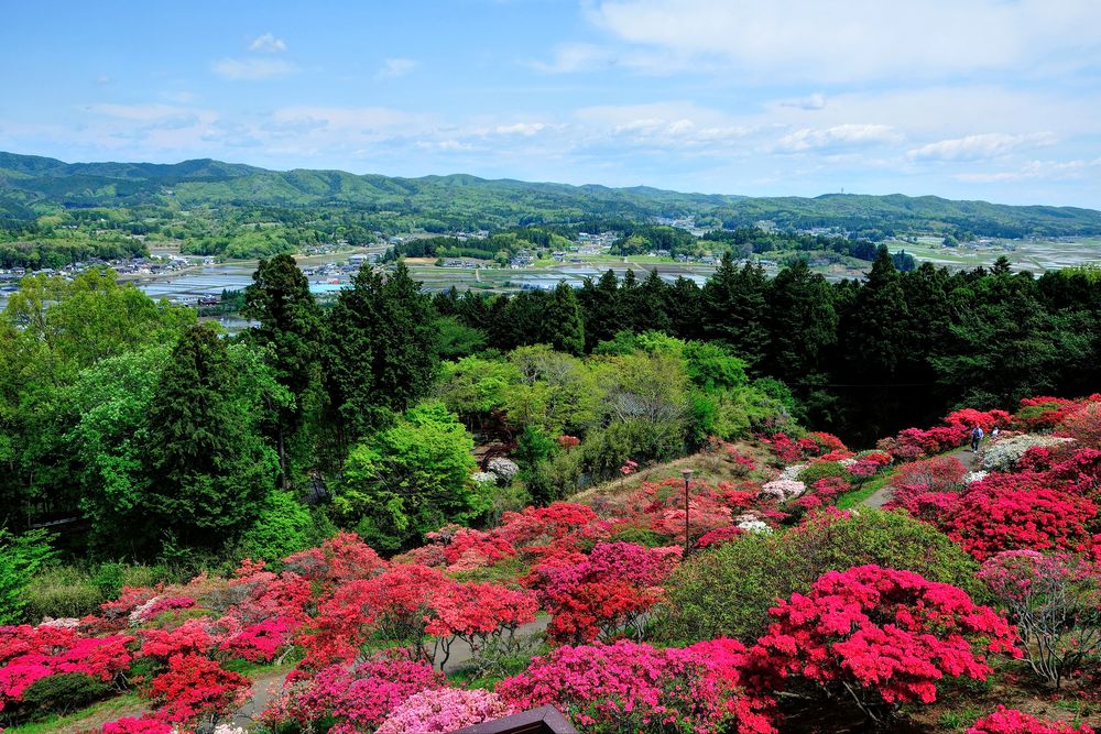 笠間つつじ公園の画像 - 3枚目