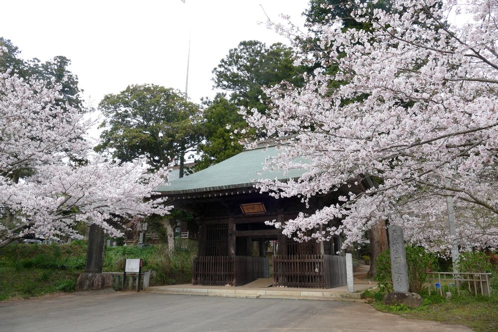 西蓮寺の画像 - 2枚目
